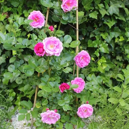 Pokój Kameralny Z Oddzielnym Wejsciem- Blisko Pkp *