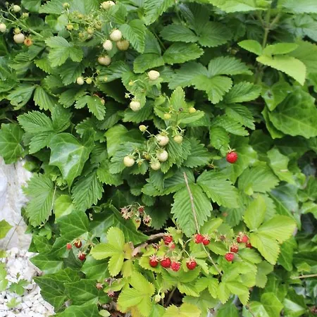 Pokój Kameralny Z Oddzielnym Wejsciem- Blisko Pkp