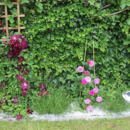 Pokój Kameralny Z Oddzielnym Wejsciem- Blisko Pkp