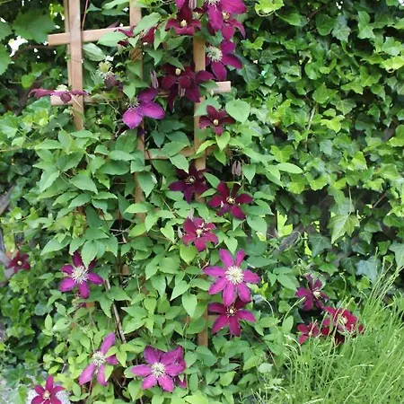 Pokój Kameralny Z Oddzielnym Wejsciem- Blisko Pkp Karpacz