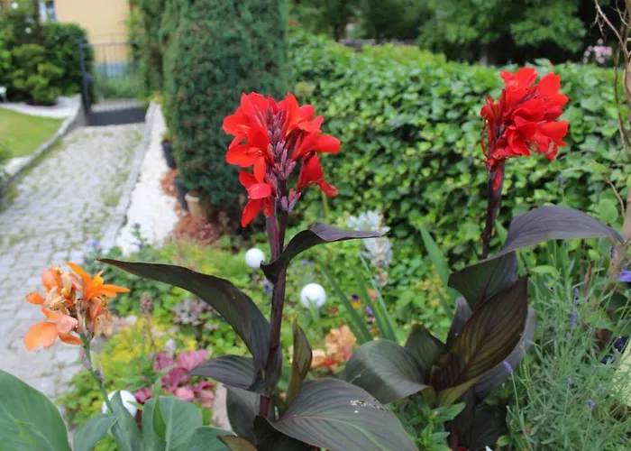 Kameralny Z Oddzielnym Wejsciem- Blisko Pkp Karpacz