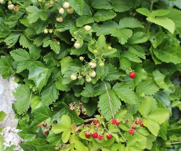 Kameralny Z Oddzielnym Wejsciem- Blisko Pkp