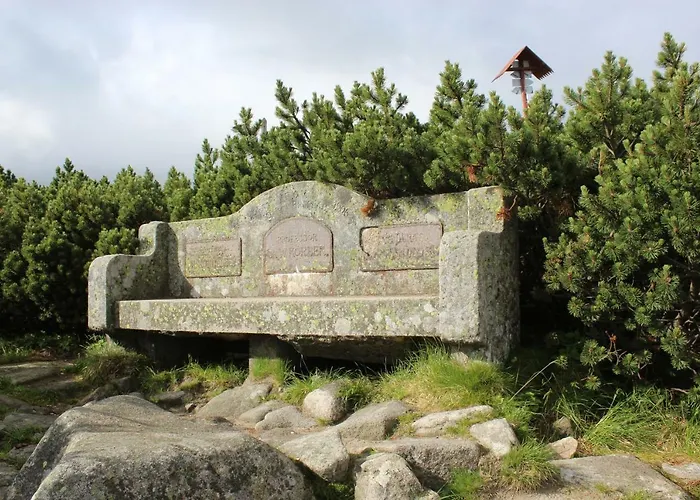 Kameralny Z Oddzielnym Wejsciem- Blisko Pkp דירה קרפאז'