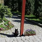 Kameralny Z Oddzielnym Wejsciem- Blisko Pkp * Karpacz