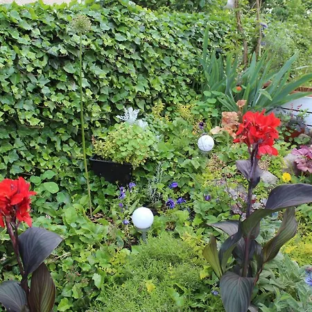 Apartman Kameralny Z Oddzielnym Wejsciem- Blisko Pkp