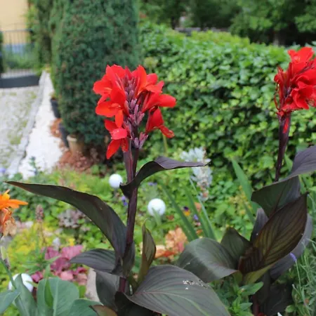 Kameralny Z Oddzielnym Wejsciem- Blisko Pkp Karpacz