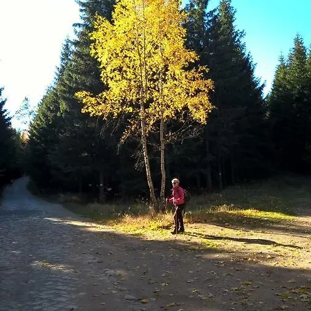 Kameralny Z Oddzielnym Wejsciem- Blisko Pkp