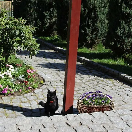 Kameralny Z Oddzielnym Wejsciem- Blisko Pkp * קרפאז'