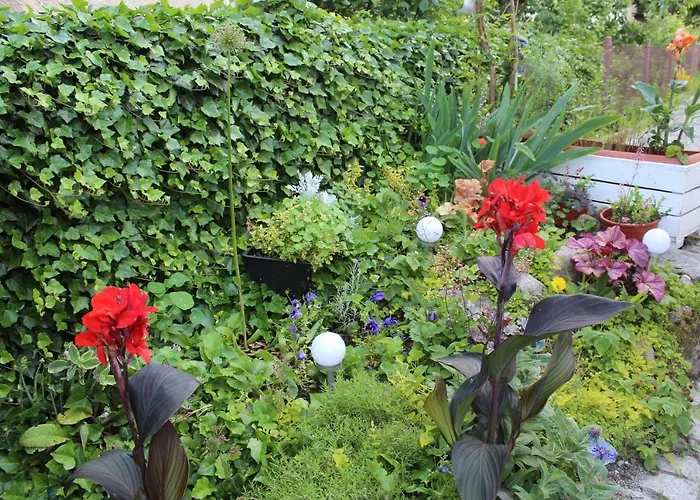 Apartmán Kameralny Z Oddzielnym Wejsciem- Blisko Pkp