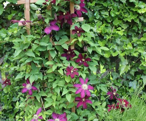 Kameralny Z Oddzielnym Wejsciem- Blisko Pkp Karpacz