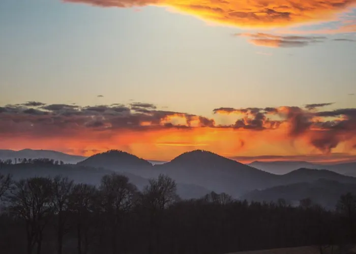 Apartament Pokój Kameralny Z Oddzielnym Wejsciem- Blisko Pkp